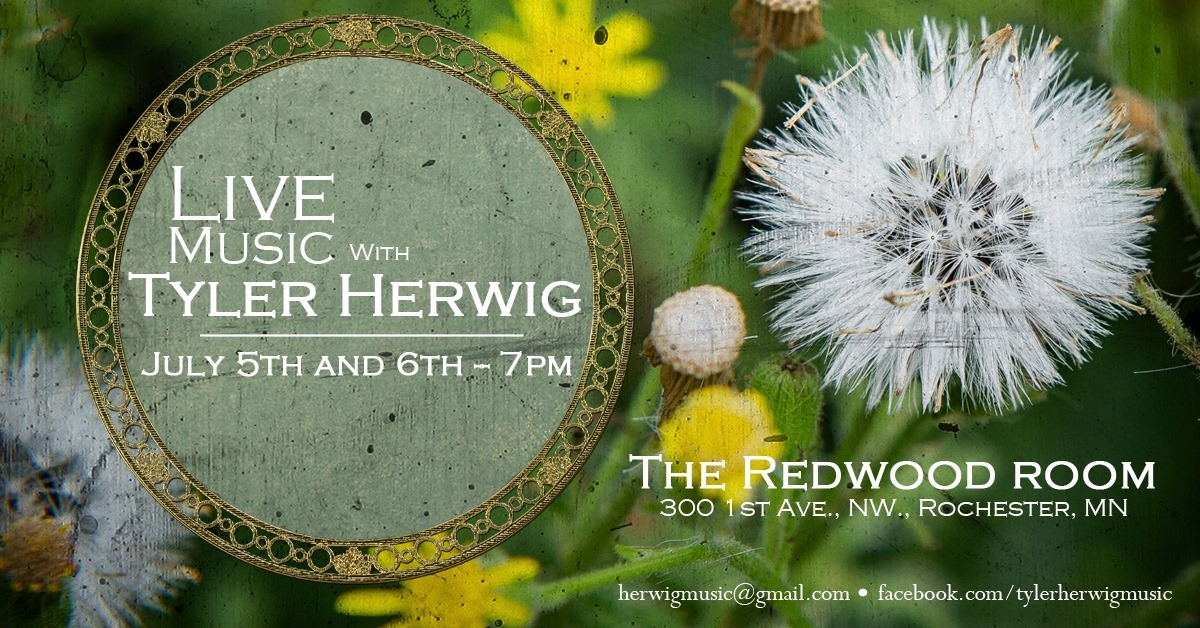 Tyler Herwig At The Redwood Room My Town My Music